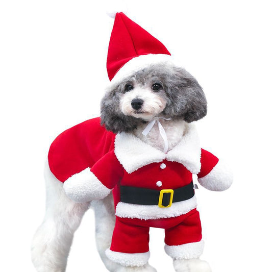 Pet Christmas Costume