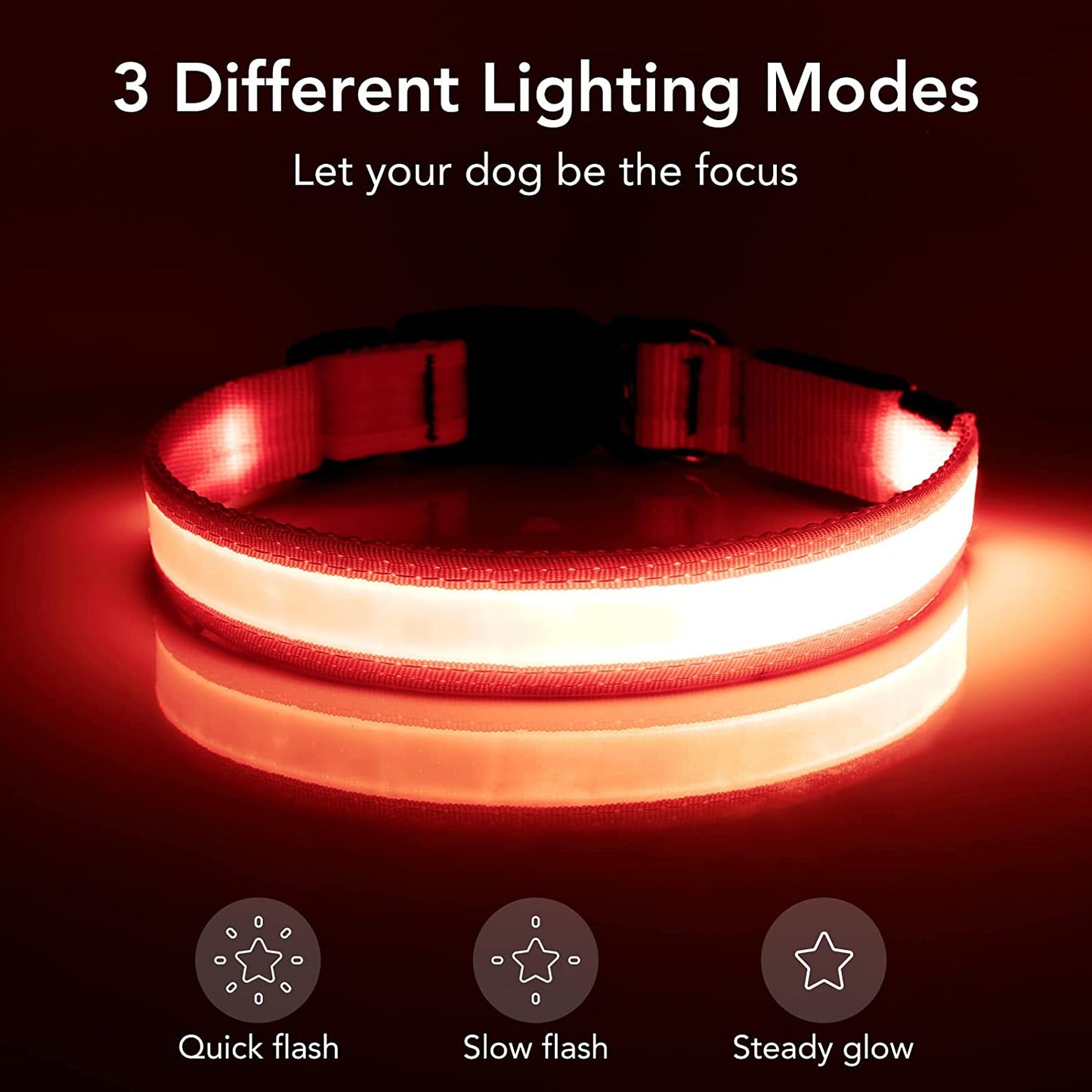 LED Dog Collar