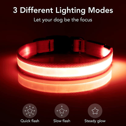 LED Dog Collar