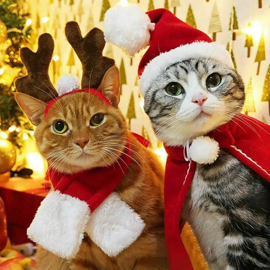 Festive Pet Christmas Costume Set