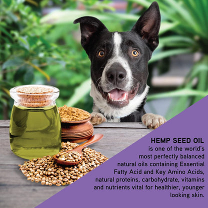 Hemp & Lavender Pet Shampoo for Dogs | All Natural Pure Essential Oils | Balance of Omega 6 & Omega 3 Fatty Acids | for Deodorizing, Allergies, Itching, Dry and Sensitive Skin - 34 OZ Pump Bottle