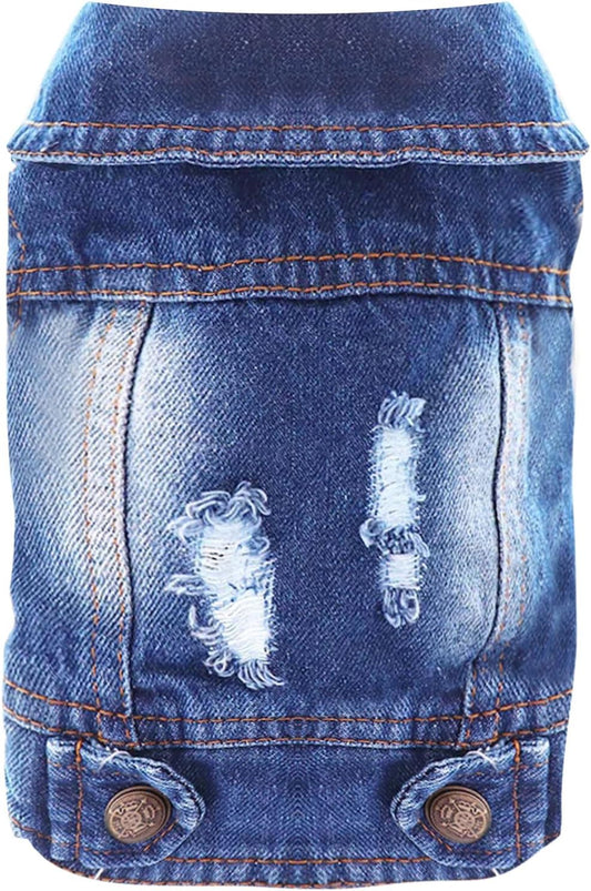 Cool Blue Dog Jean Jacket 