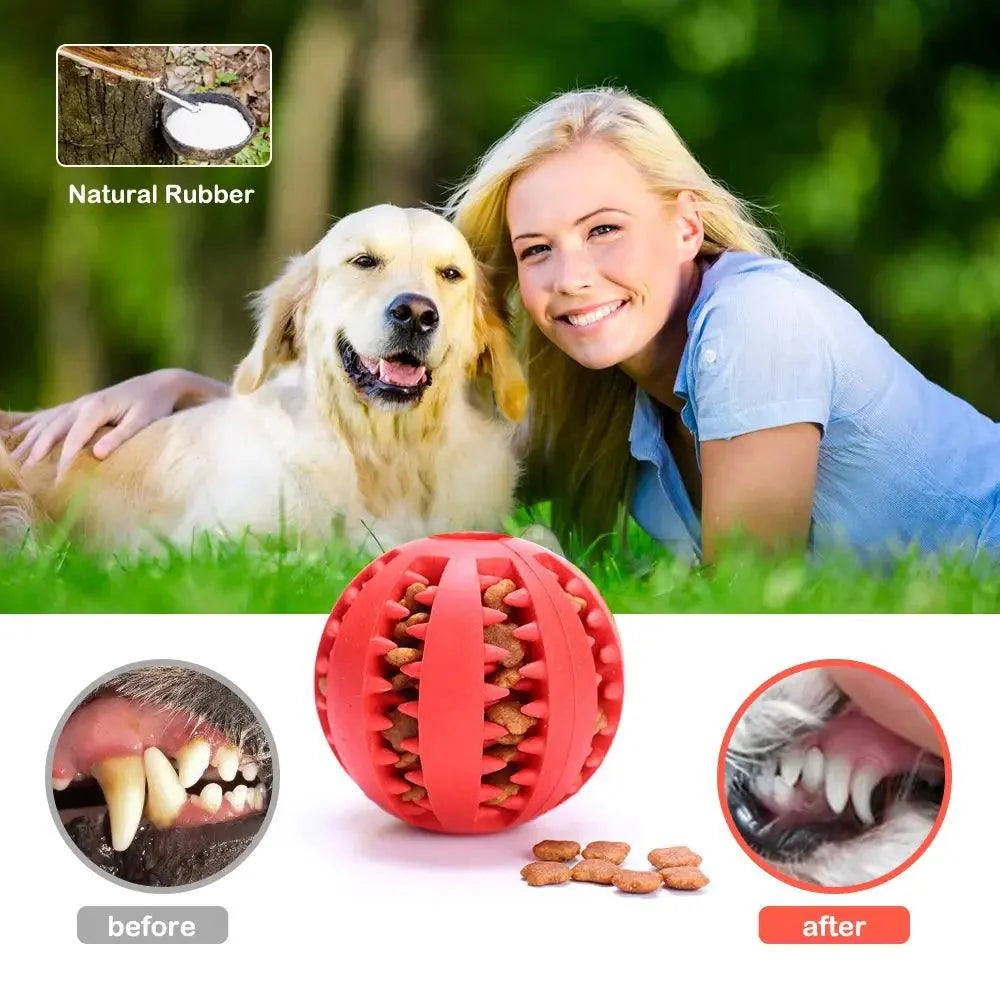 Durable Interactive Rubber Balls for Small & Large Dogs