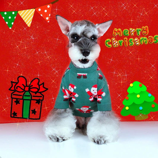 Festive Santa Claus Green Pet Sweater