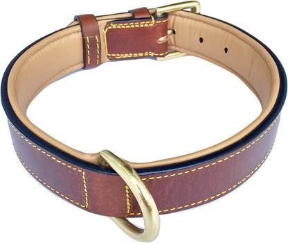 Brown XL Leather Padded Dog Collar