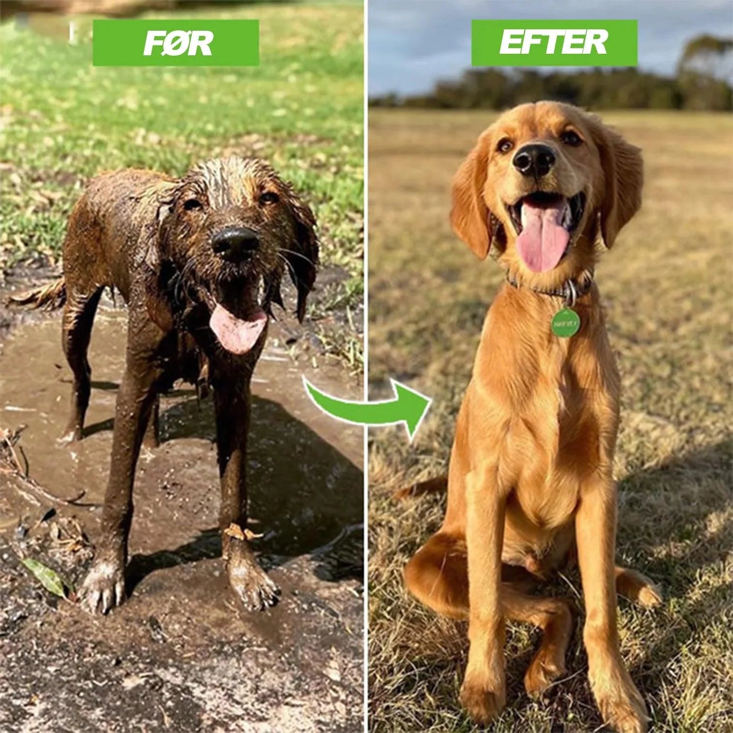 Pup Jet Dog Shower Attachment: the Ultimate Solution for Effortless Dog Baths