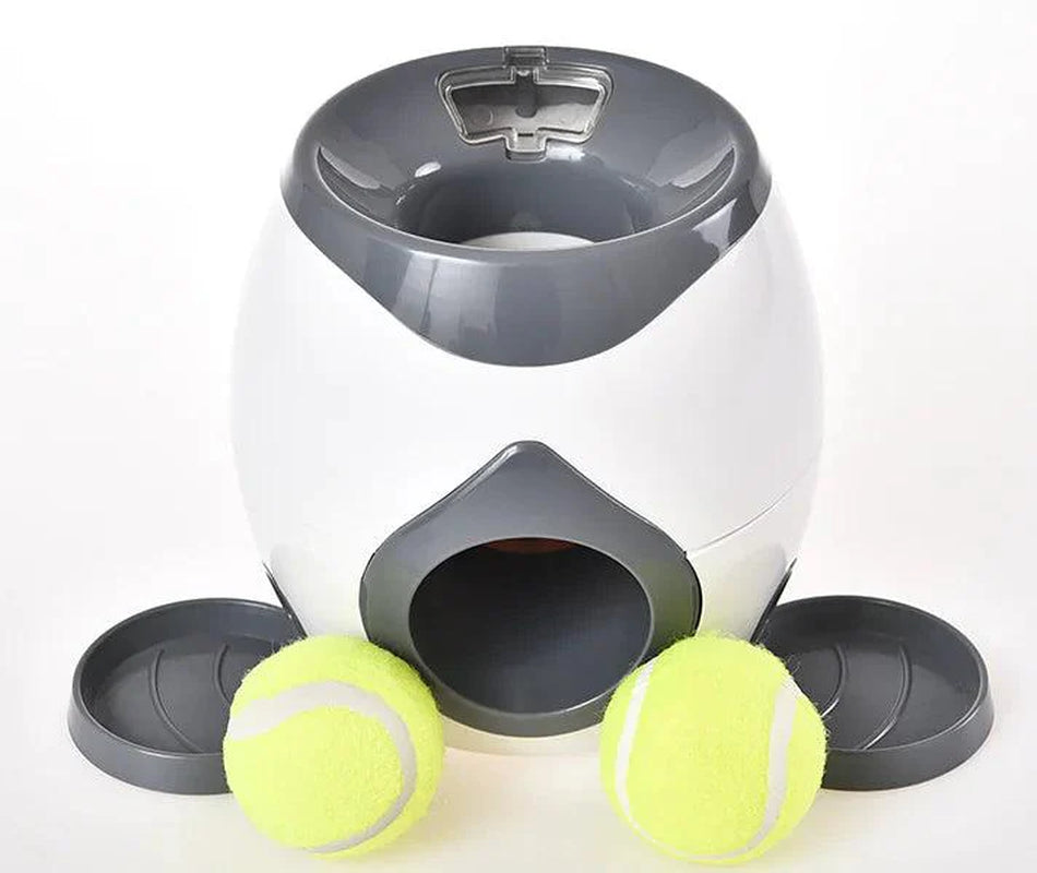 Smart Pet Feeder with Auto Tennis Ball Launcher