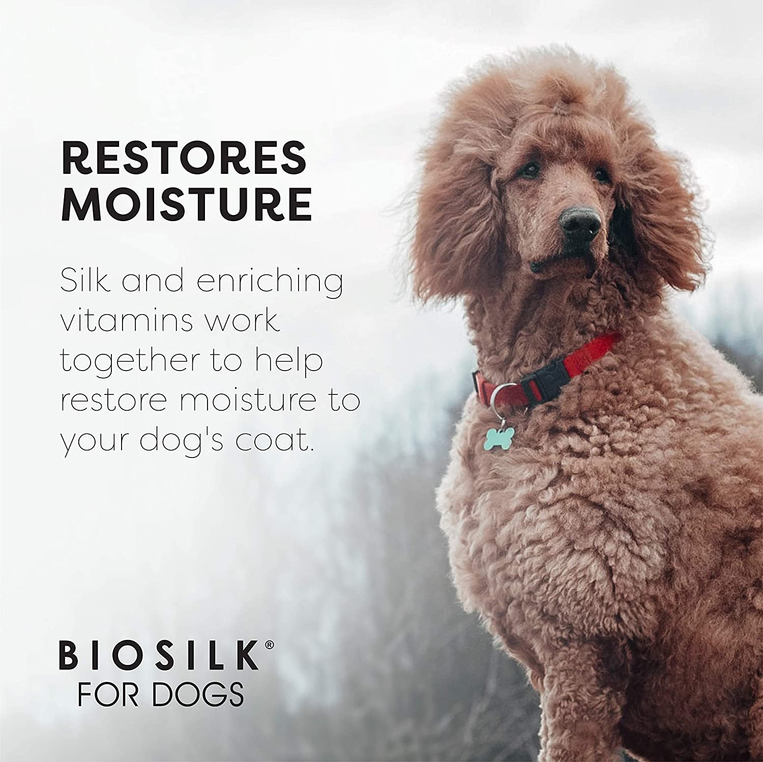 Biosilk for Dogs Silk Therapy Conditioner with Natural Coconut Oil