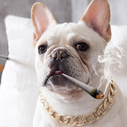 Luxury  Dog Chain Choker