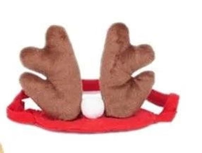 Festive Pet Christmas Costume Set