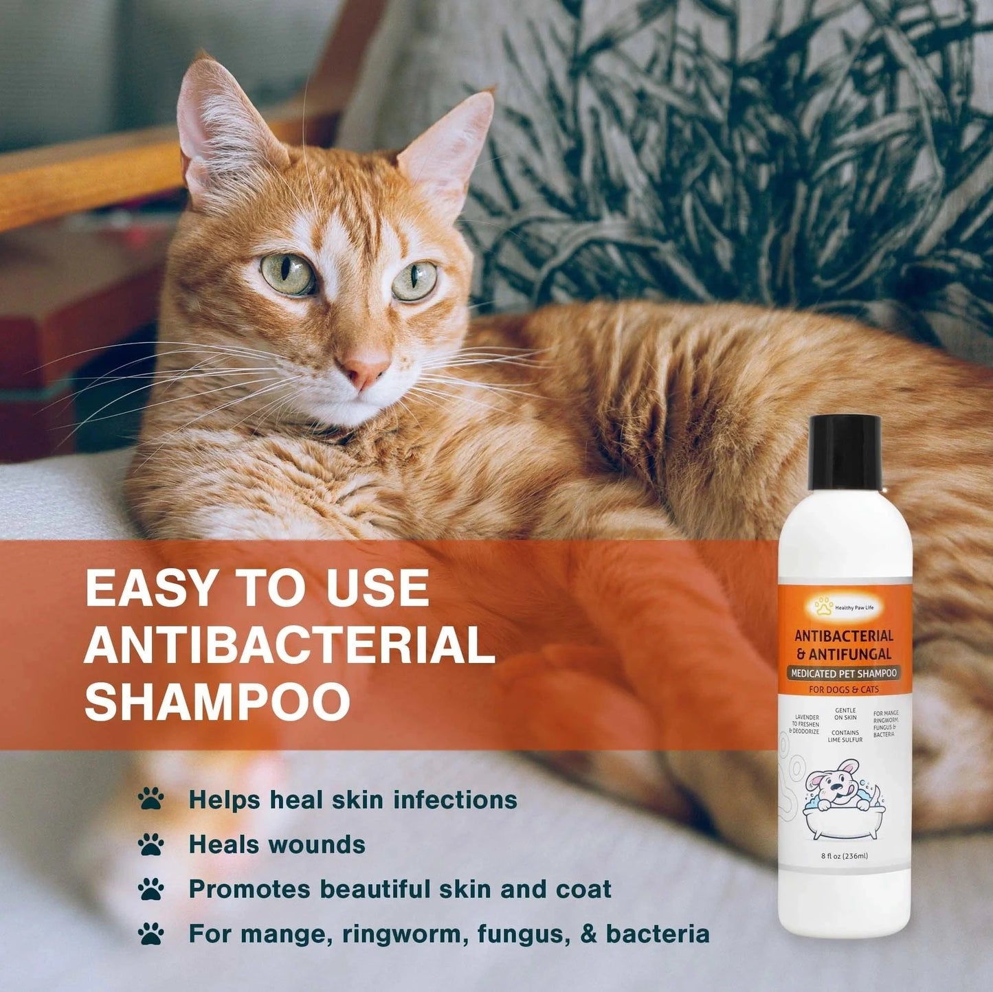 Classic'S Lime Sulfur Medicated Pet Shampoo