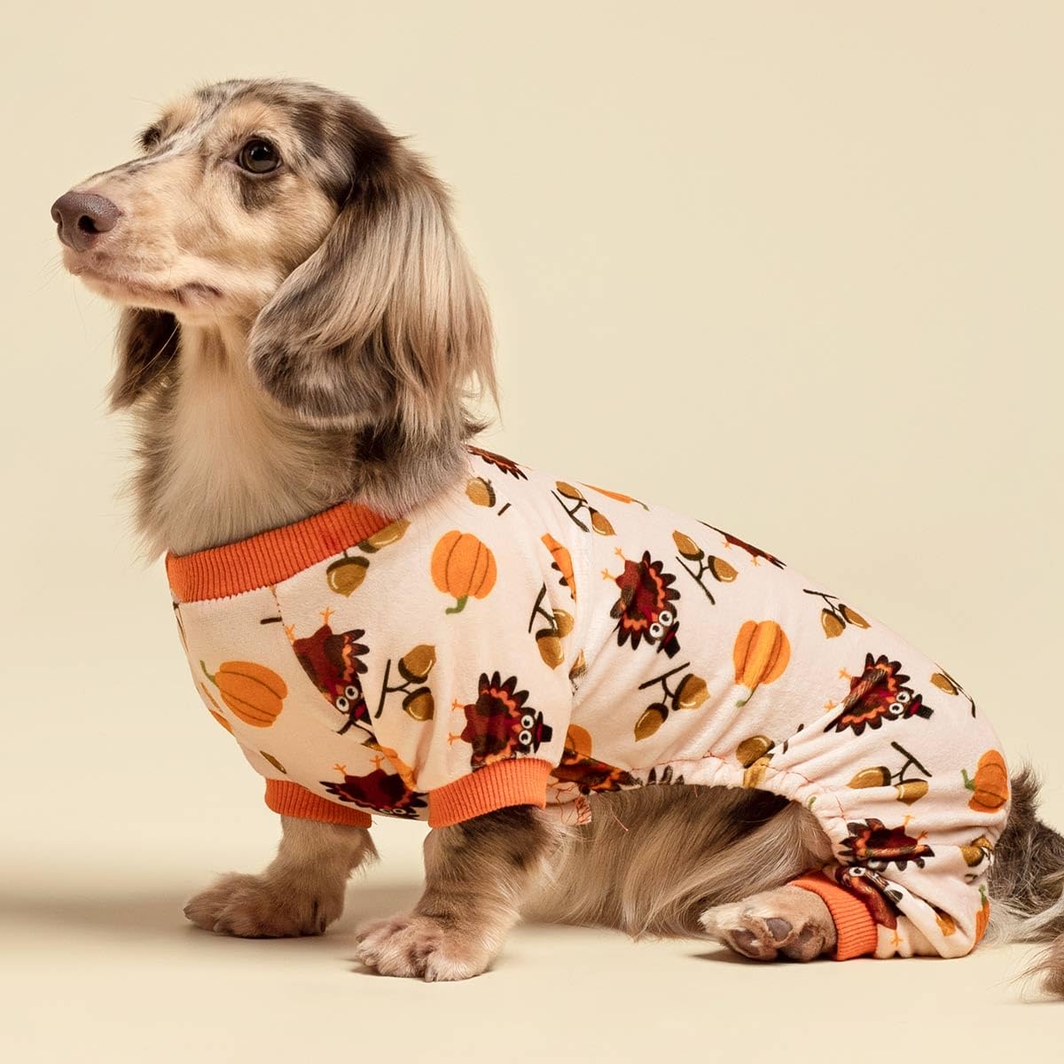 Valentines Day Sweet Hearts Dog Pajamas