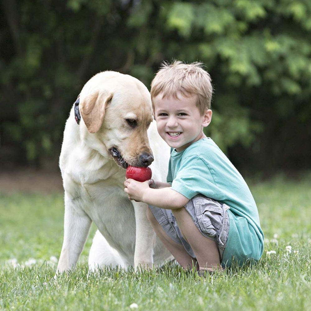 KONG Classic Stuffable Dog Toy