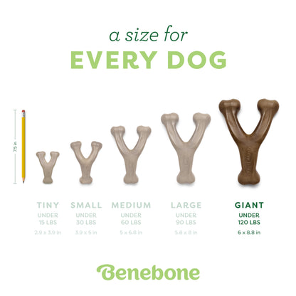 Benebone Wishbone Durable Dog Chew Toy for Aggressive Chewers