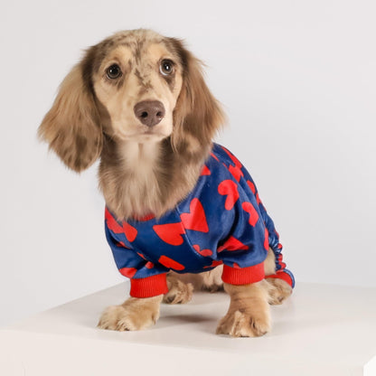 Valentines Day Sweet Hearts Dog Pajamas