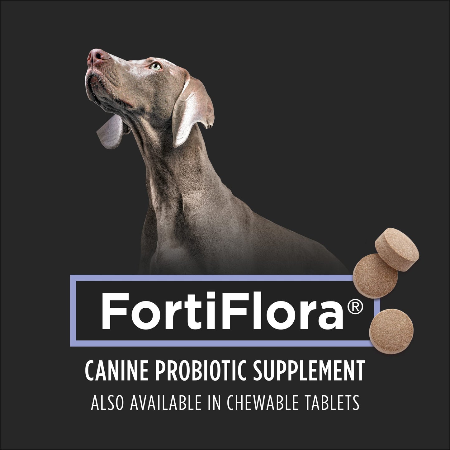 Purina Pro Plan Veterinary Supplements FortiFlora Dog Probiotic Supplement