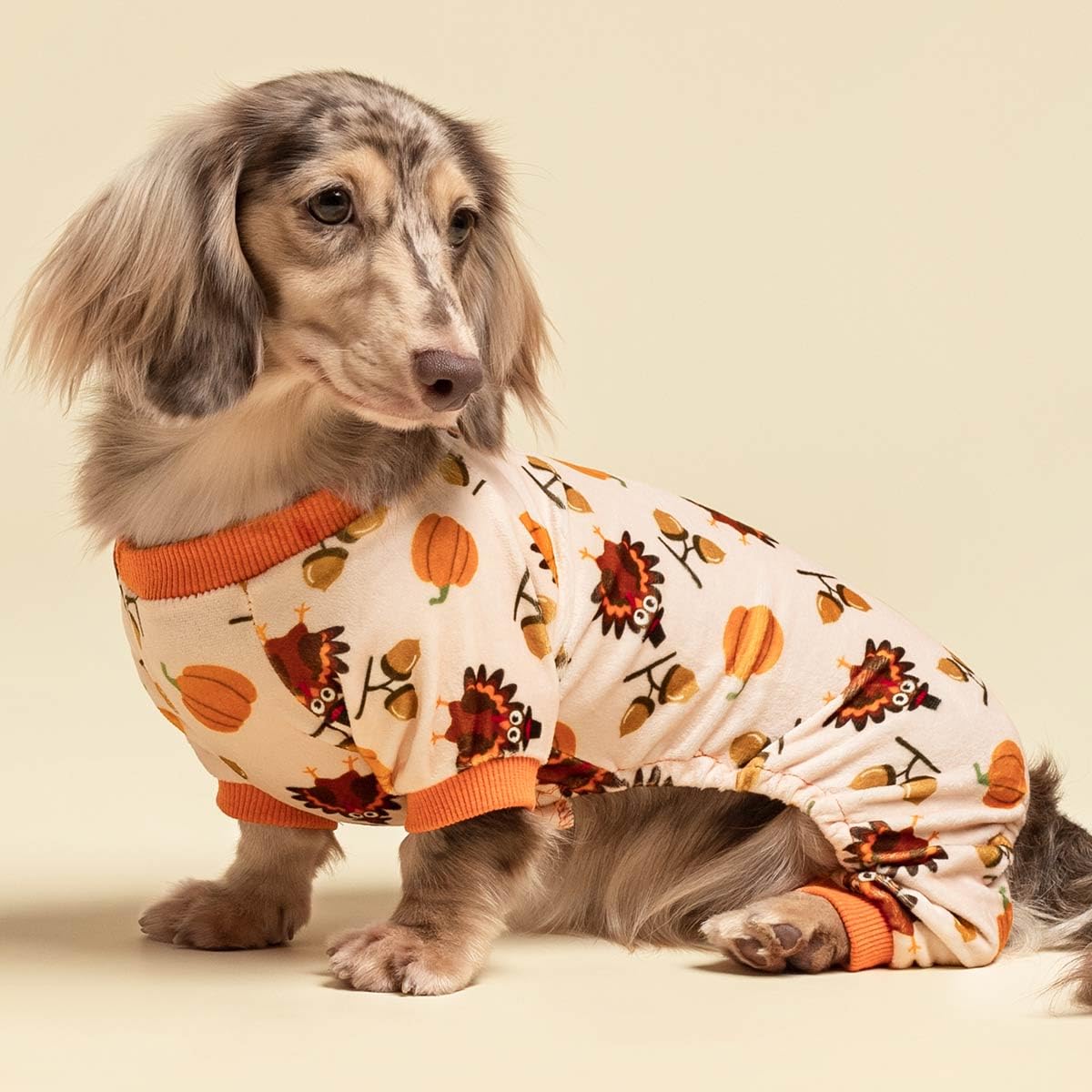 Valentines Day Sweet Hearts Dog Pajamas