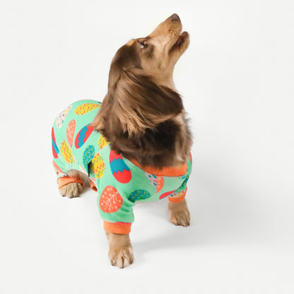 Valentines Day Sweet Hearts Dog Pajamas