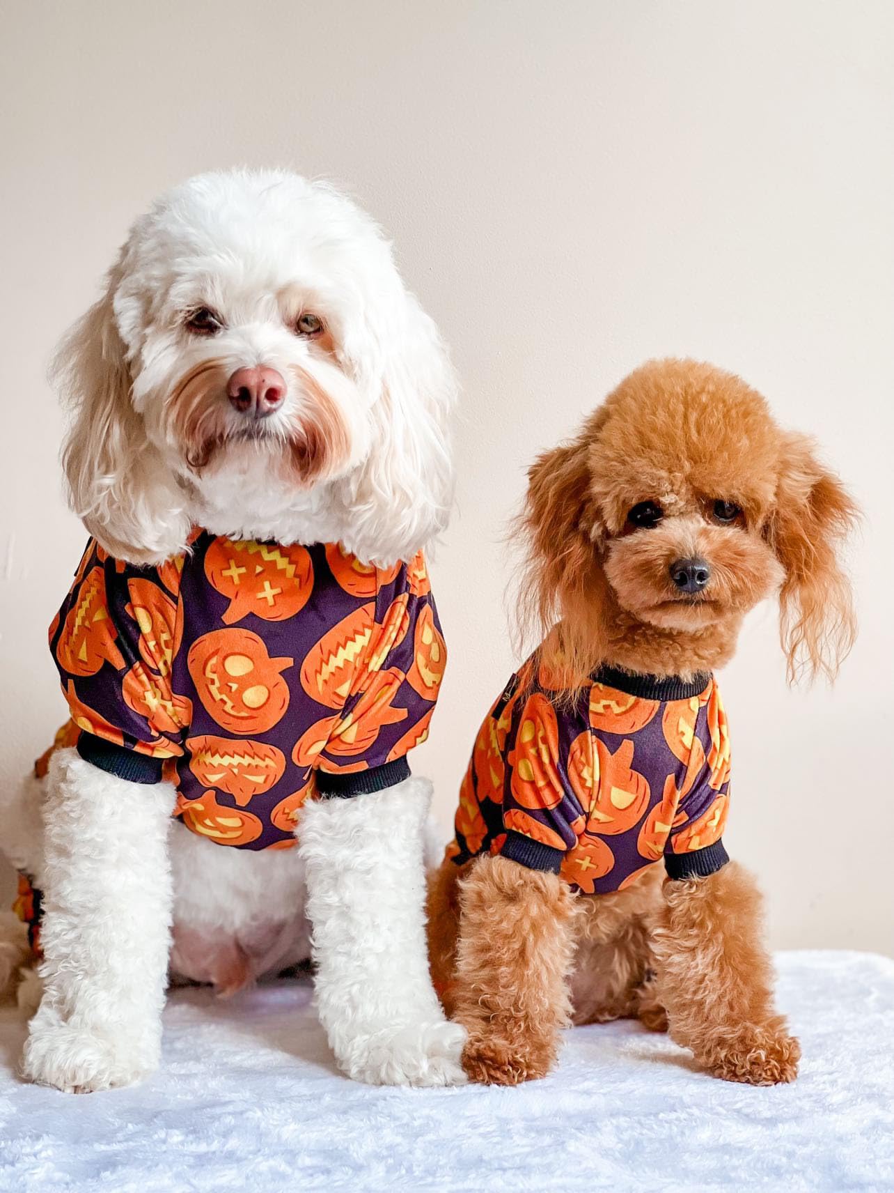 Valentines Day Sweet Hearts Dog Pajamas