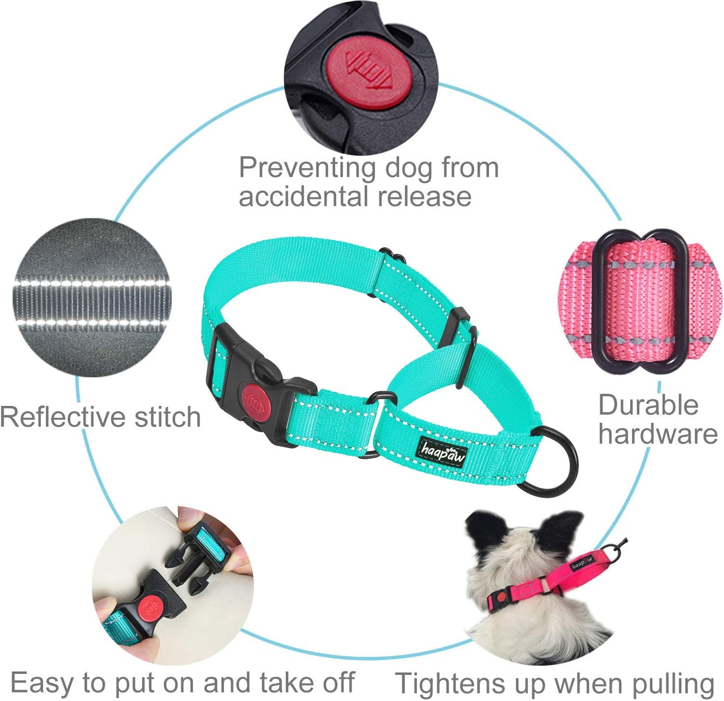 2 Packs Martingale Dog Collar with Quick Release Buckle 