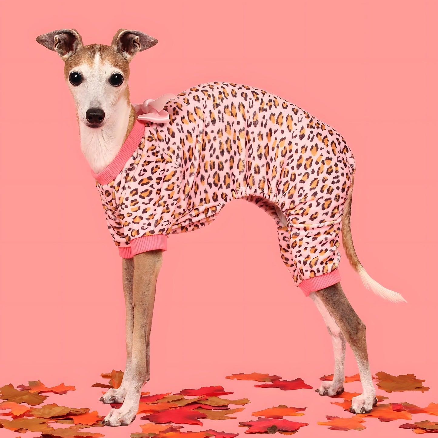 Valentines Day Sweet Hearts Dog Pajamas