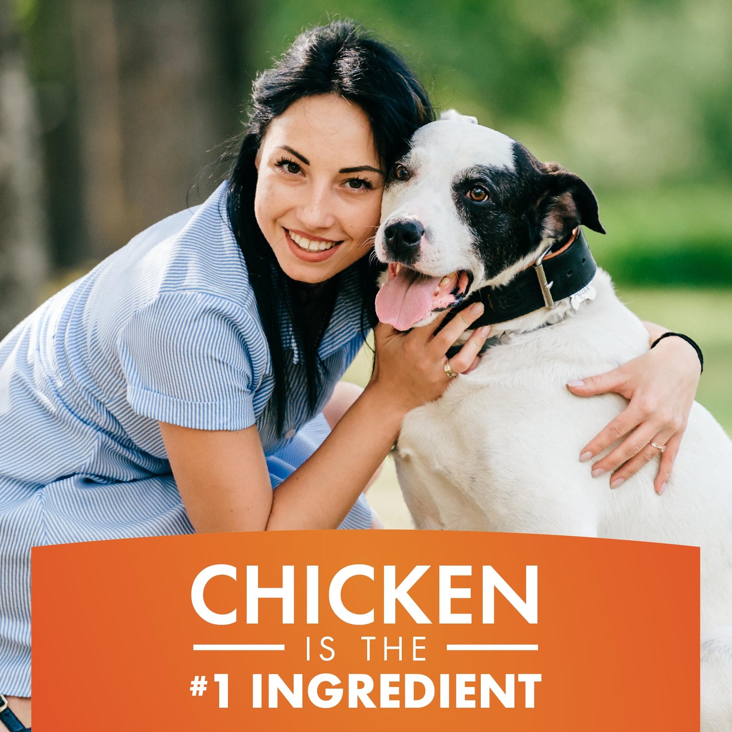 Chicken Jerky for Dogs