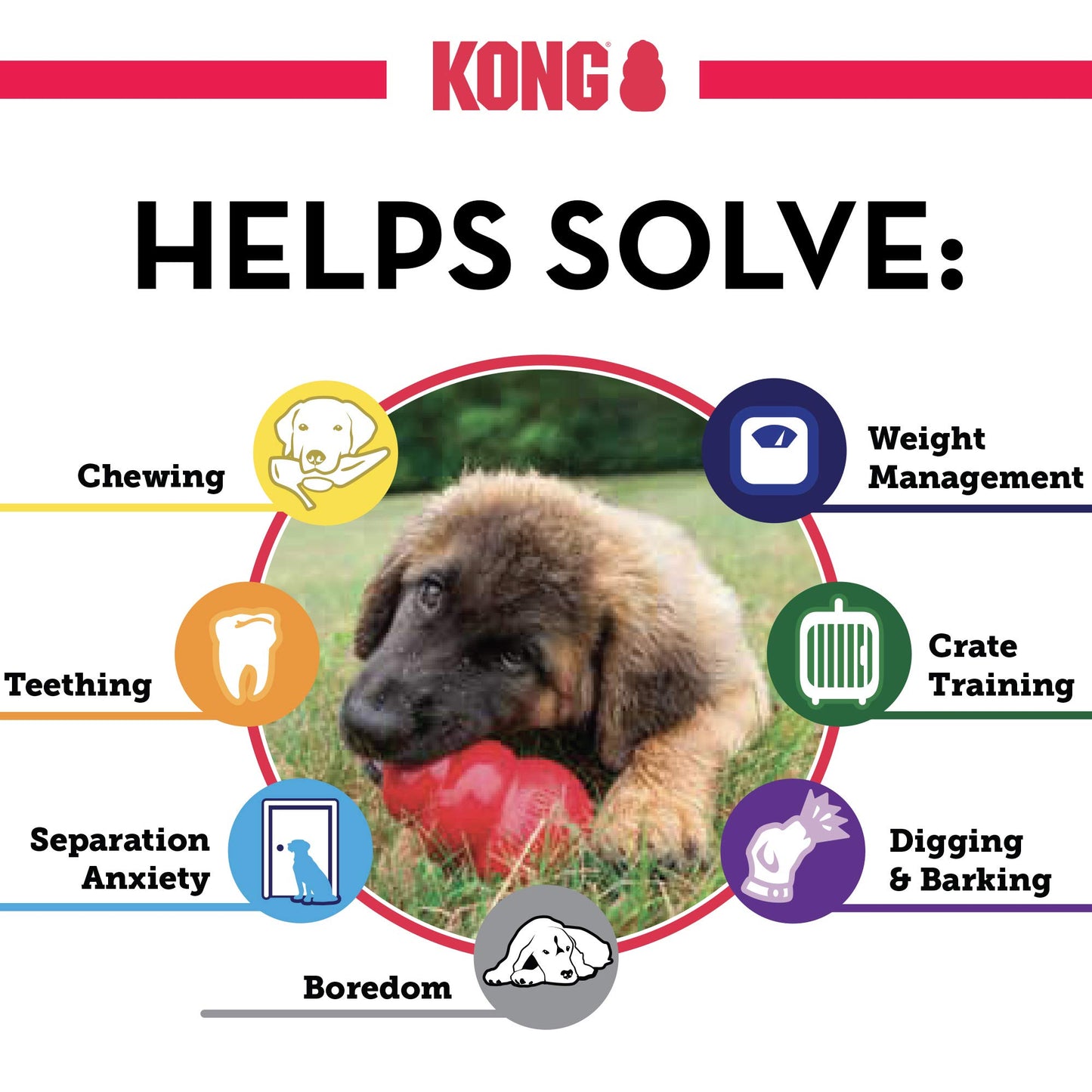 KONG Classic Stuffable Dog Toy