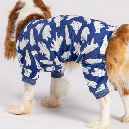 Valentines Day Sweet Hearts Dog Pajamas