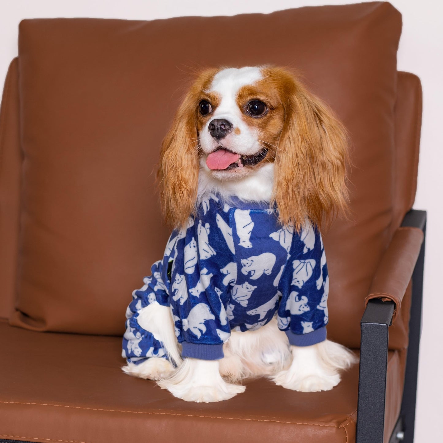 Valentines Day Sweet Hearts Dog Pajamas