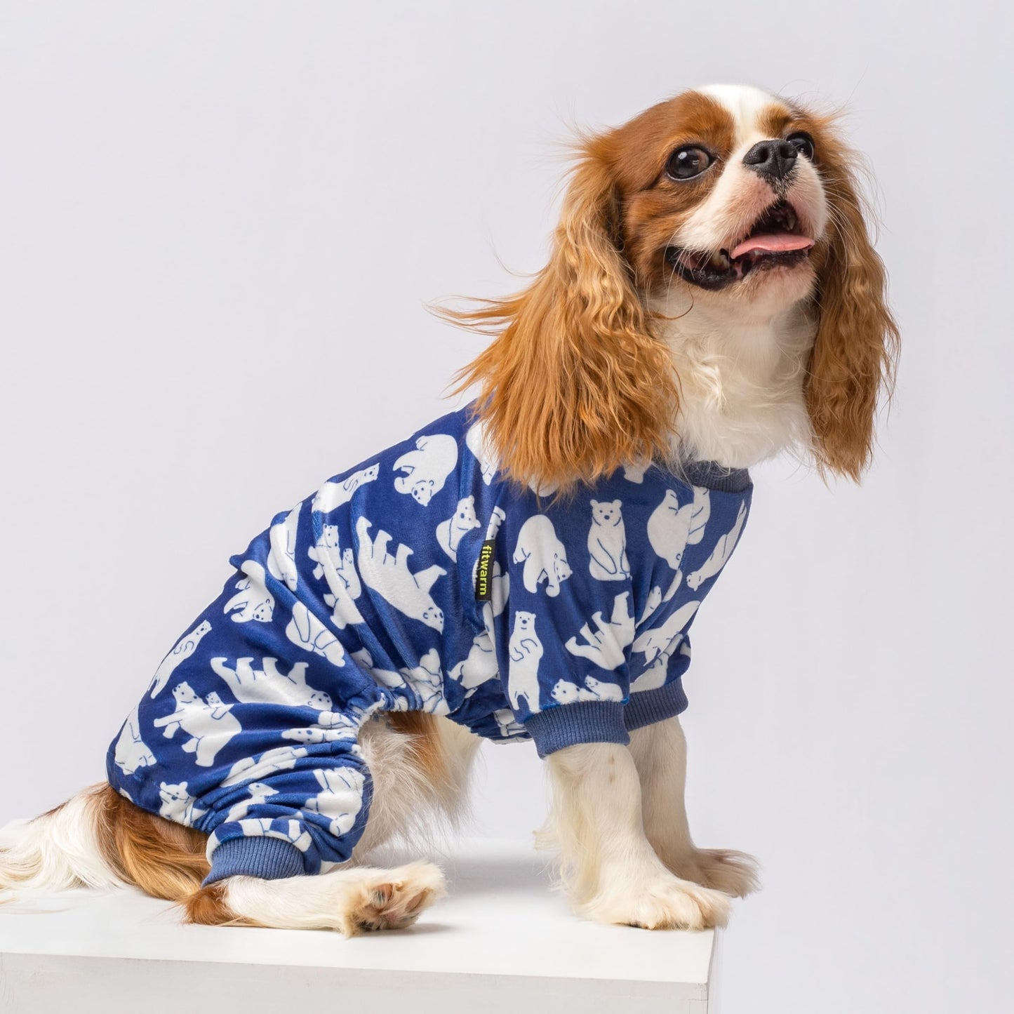 Valentines Day Sweet Hearts Dog Pajamas