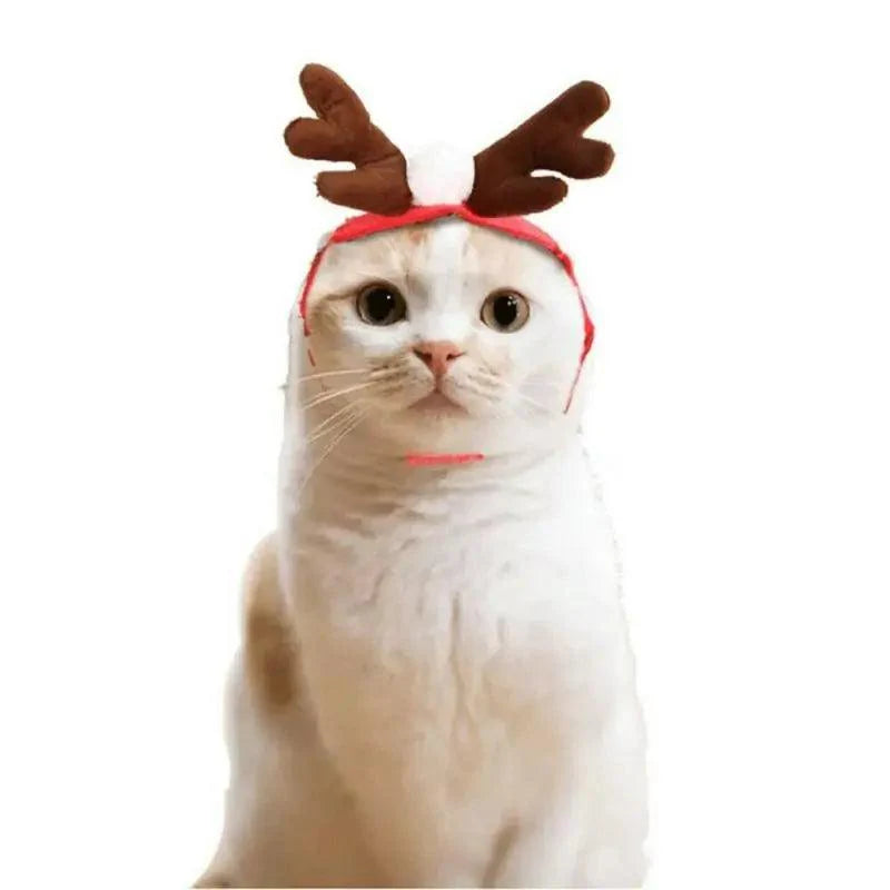 Festive Pet Christmas Costume Set