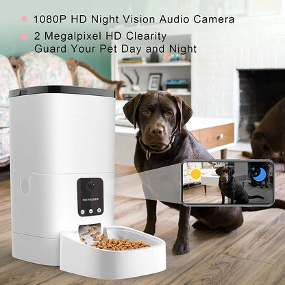 6L Automatic Pet Feeder for Cats and Dogs