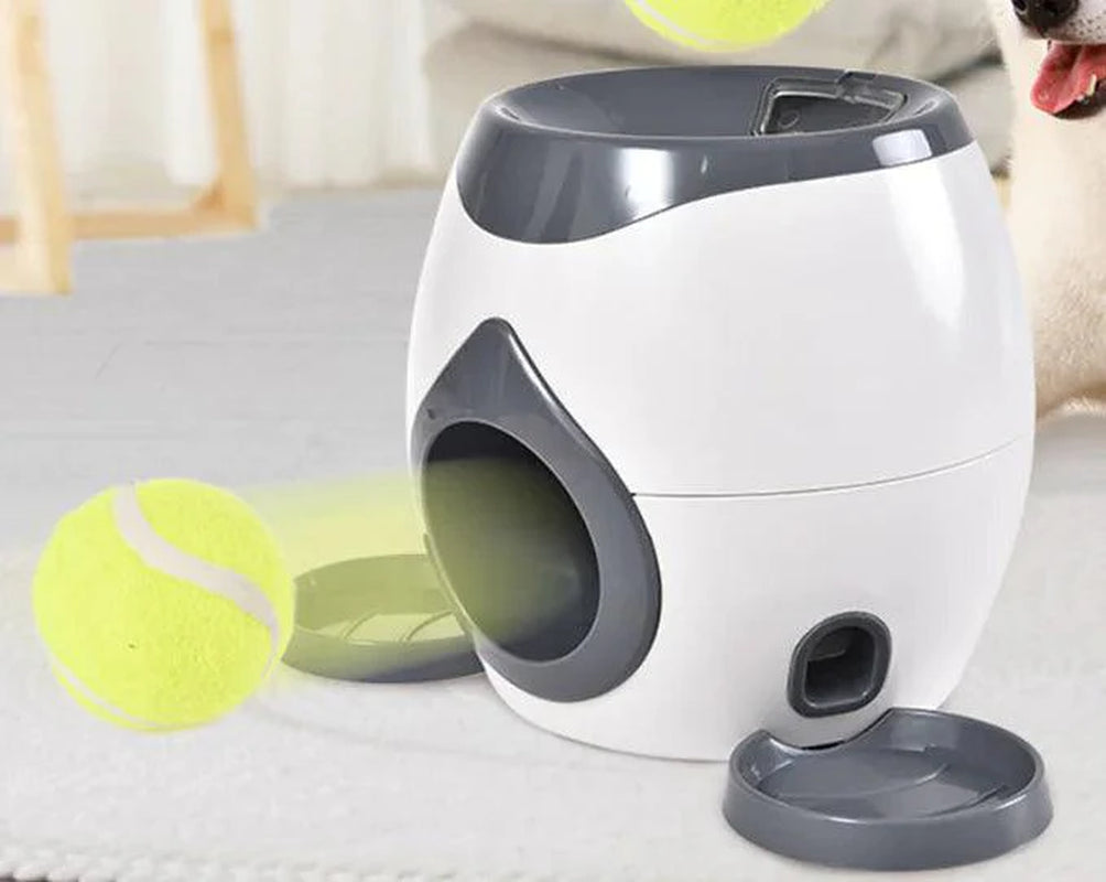 Smart Pet Feeder with Auto Tennis Ball Launcher