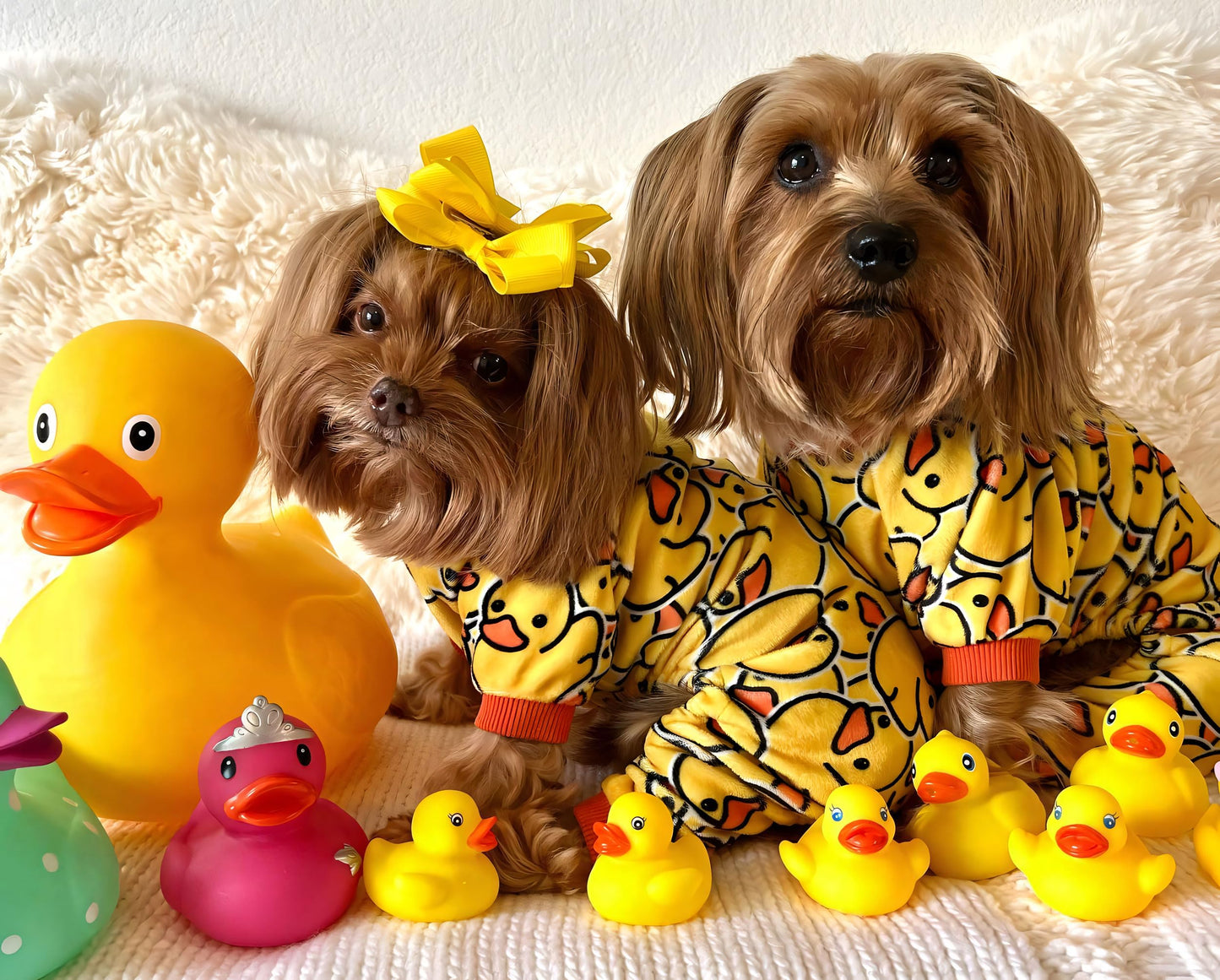 Valentines Day Sweet Hearts Dog Pajamas