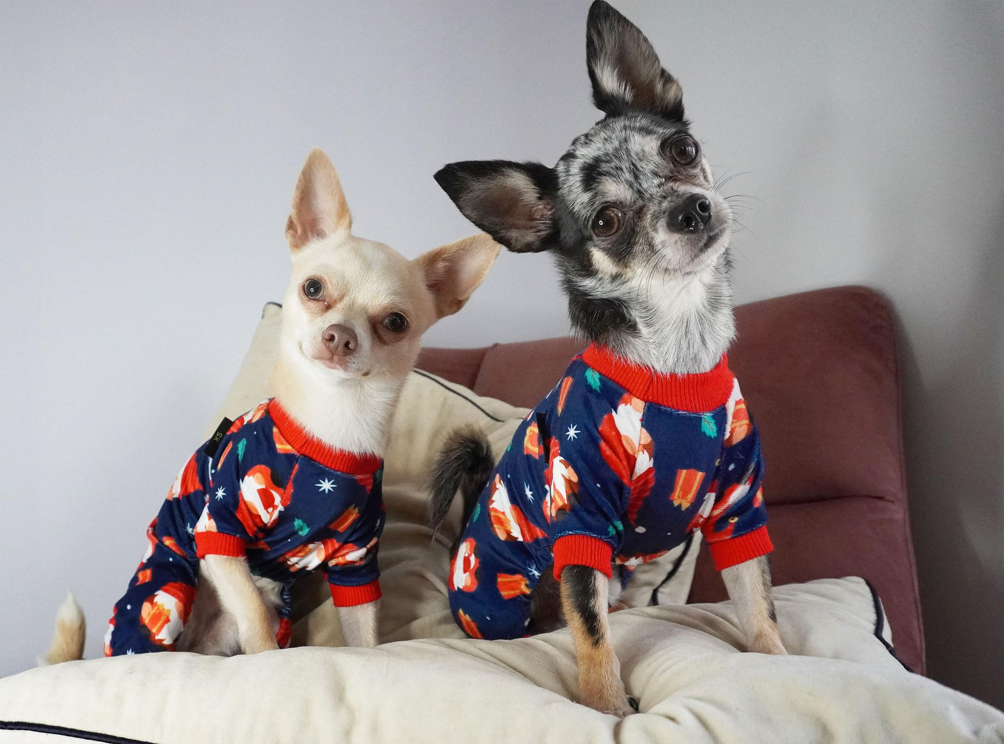 Valentines Day Sweet Hearts Dog Pajamas