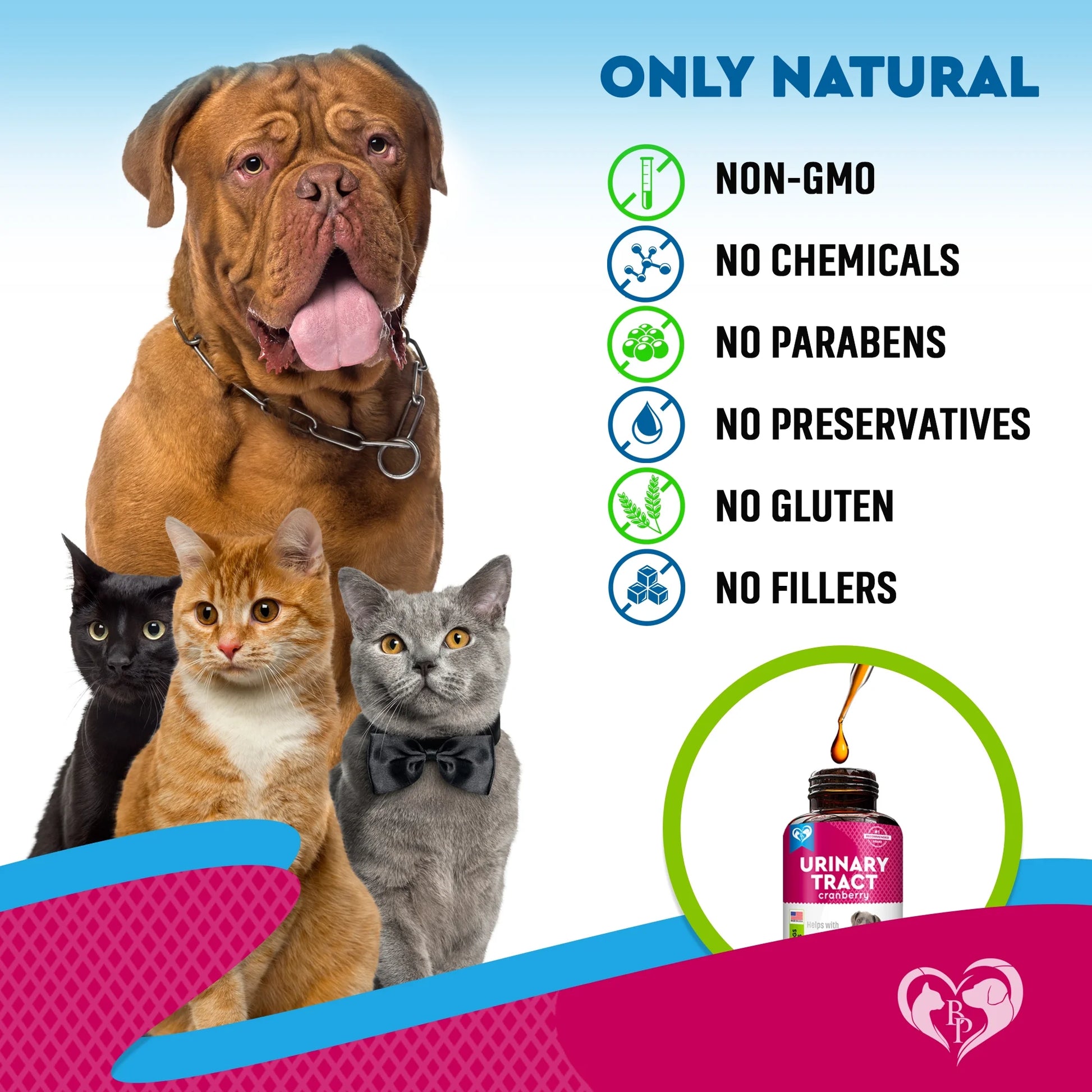 Cat & Dog Urinary Tract Infection Treatment & Natural UTI Cranberry