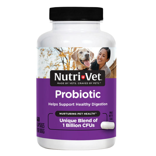 Probiotics Capsules for Dogs - Supports Digestive Health - 60 count