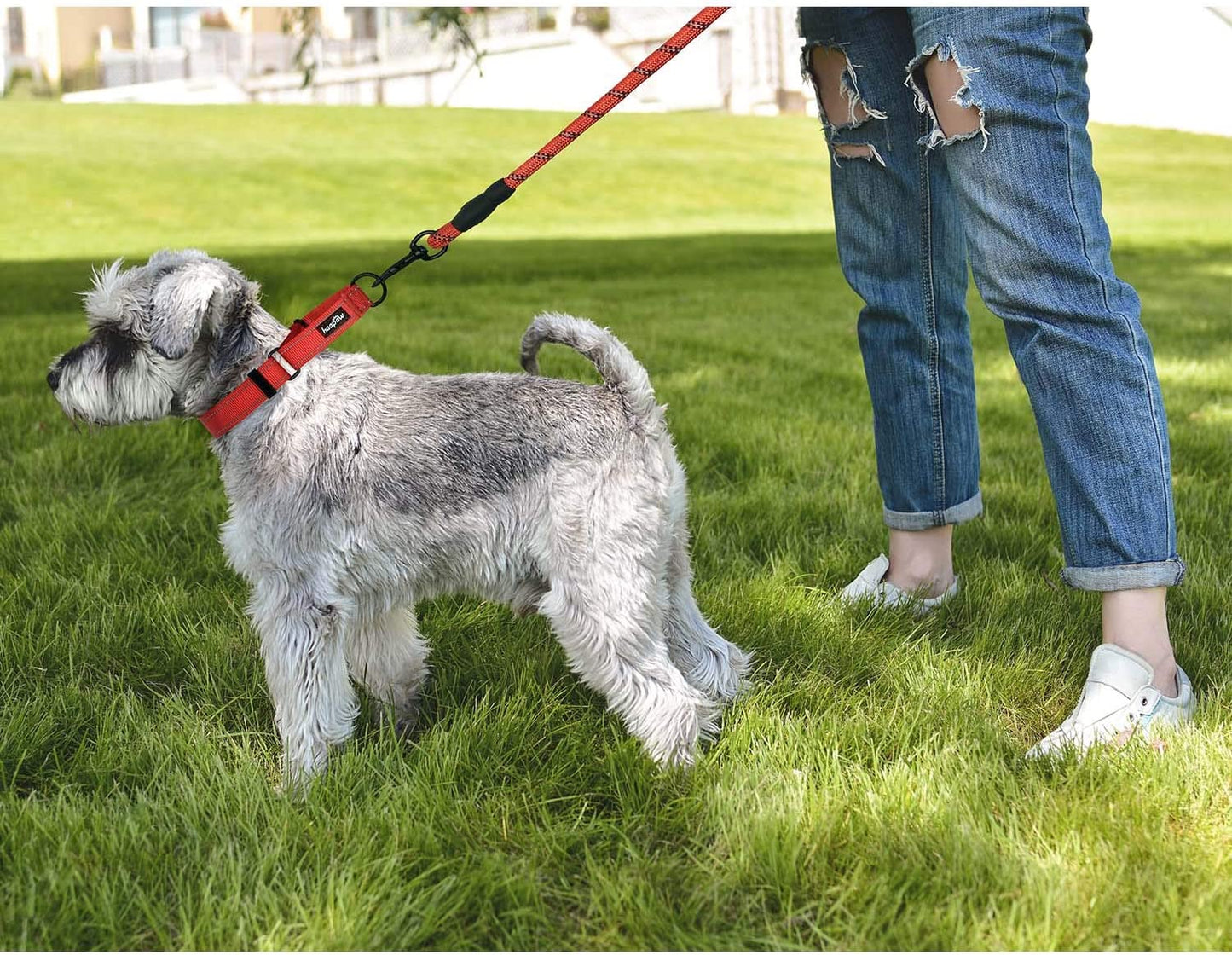 2 Packs Martingale Dog Collar with Quick Release Buckle 