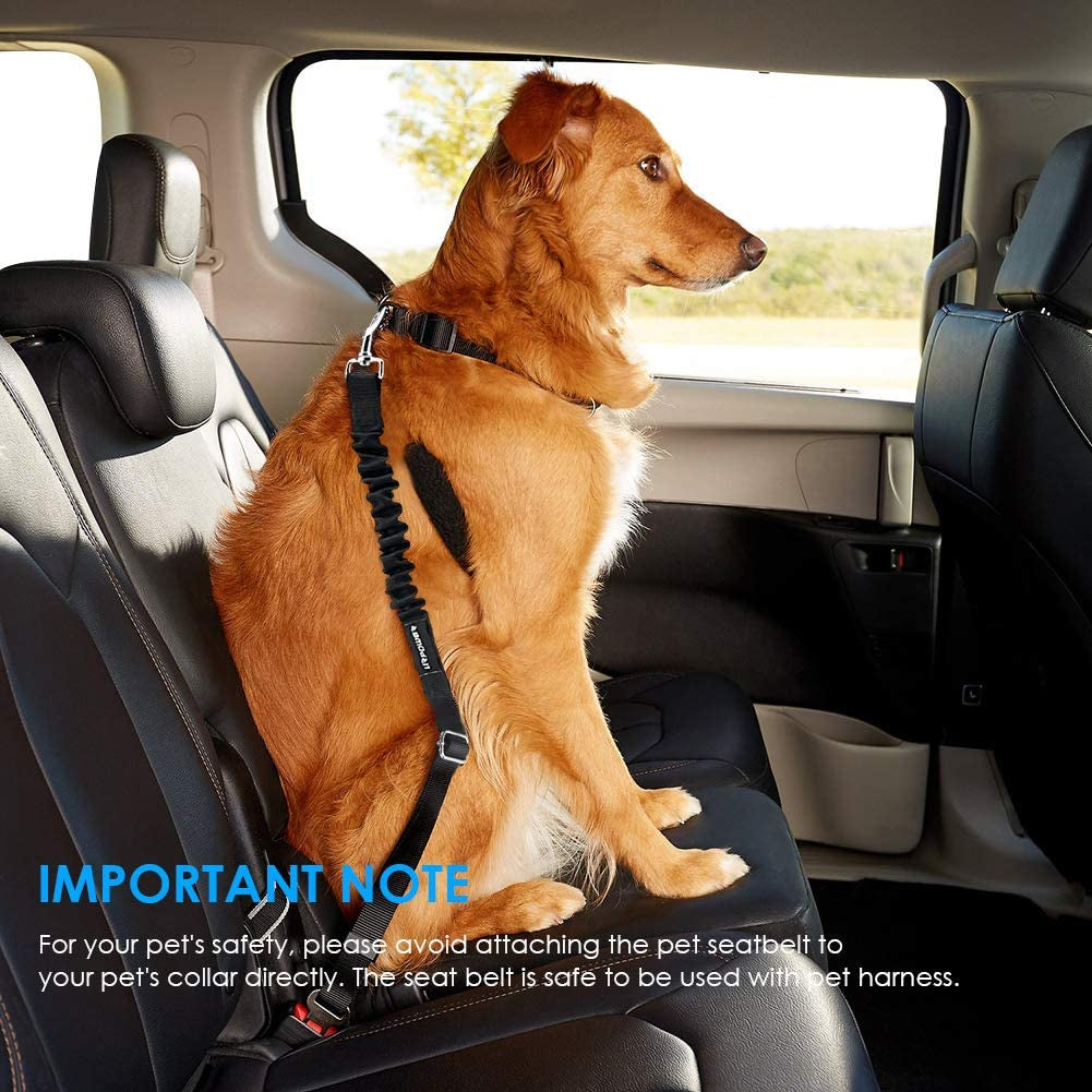 2 Pack Dog Seat Belt