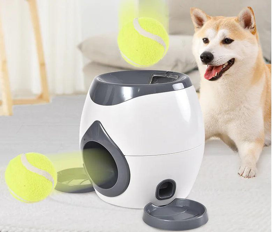 Smart Pet Feeder with Auto Tennis Ball Launcher