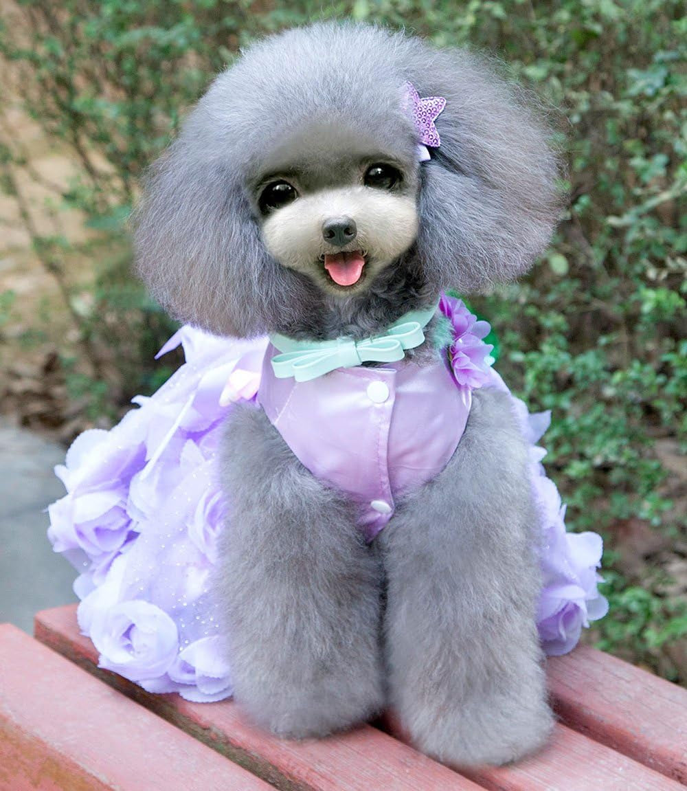 Pet Small Dog Wedding Dress with Bowknot