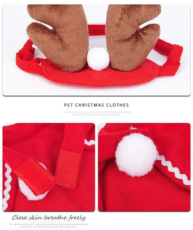 Festive Pet Christmas Costume Set