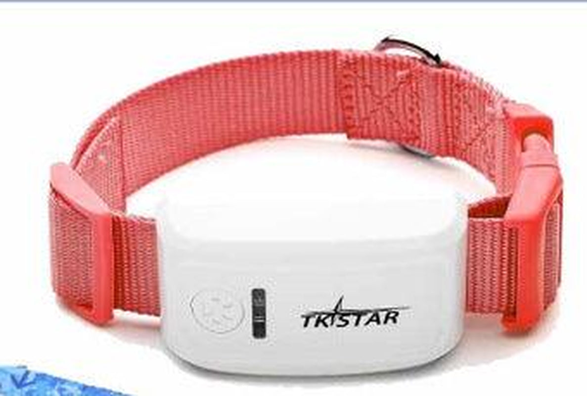 Pettrack Gps: the Ultimate Locator Device for Your Beloved Pets