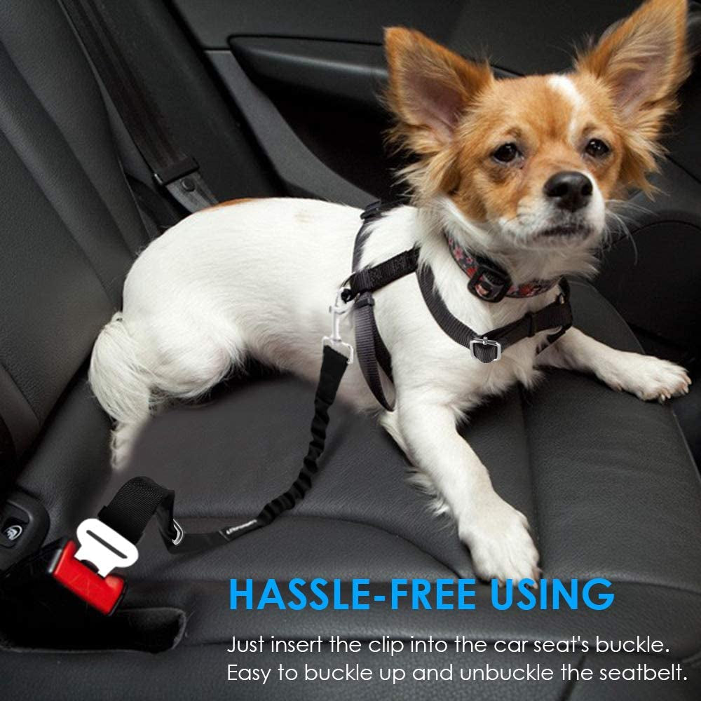 2 Pack Dog Seat Belt