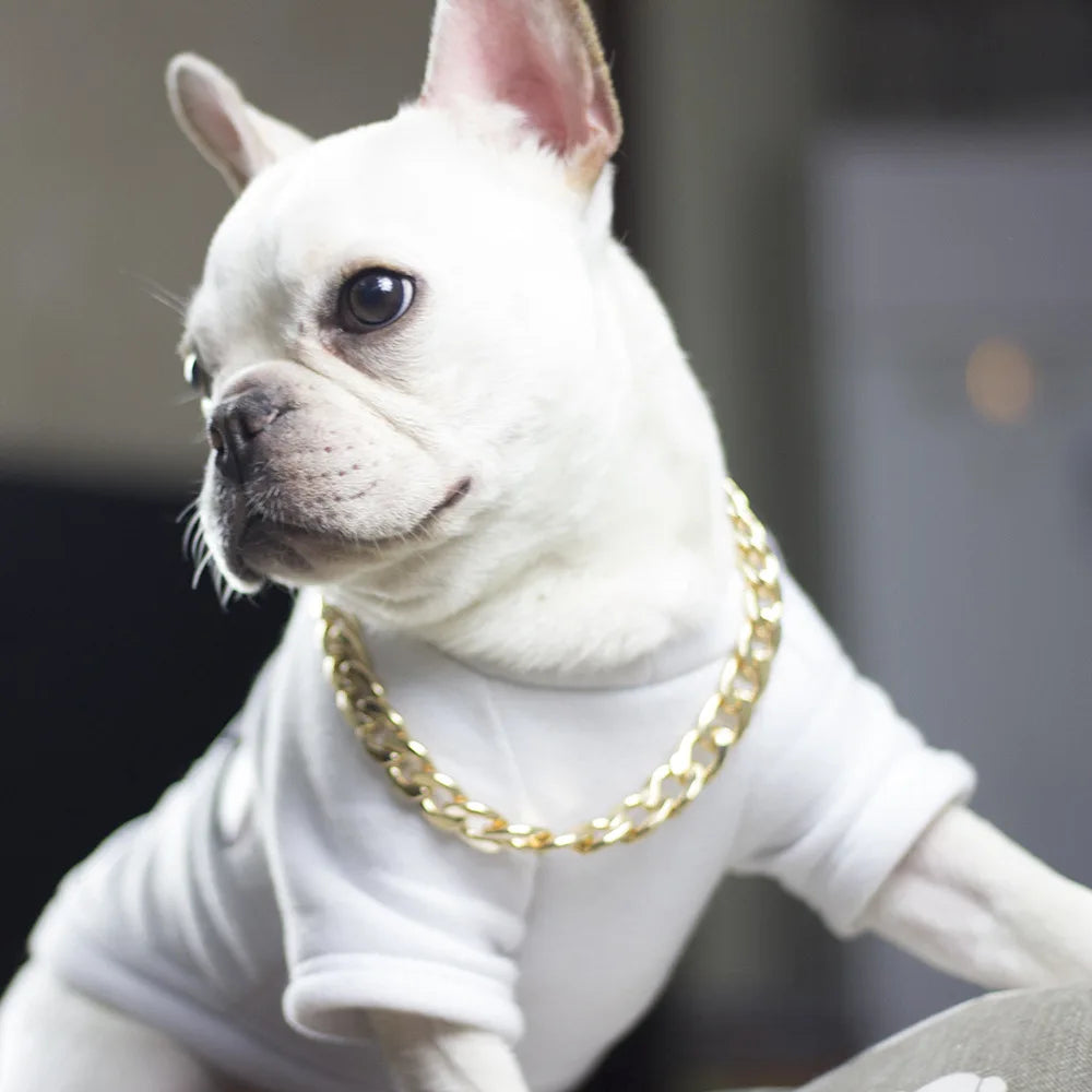 Luxury  Dog Chain Choker