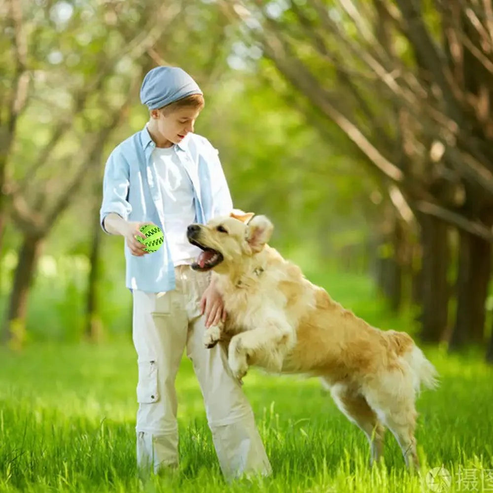 Durable Interactive Rubber Balls for Small & Large Dogs