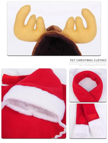 Festive Pet Christmas Costume Set