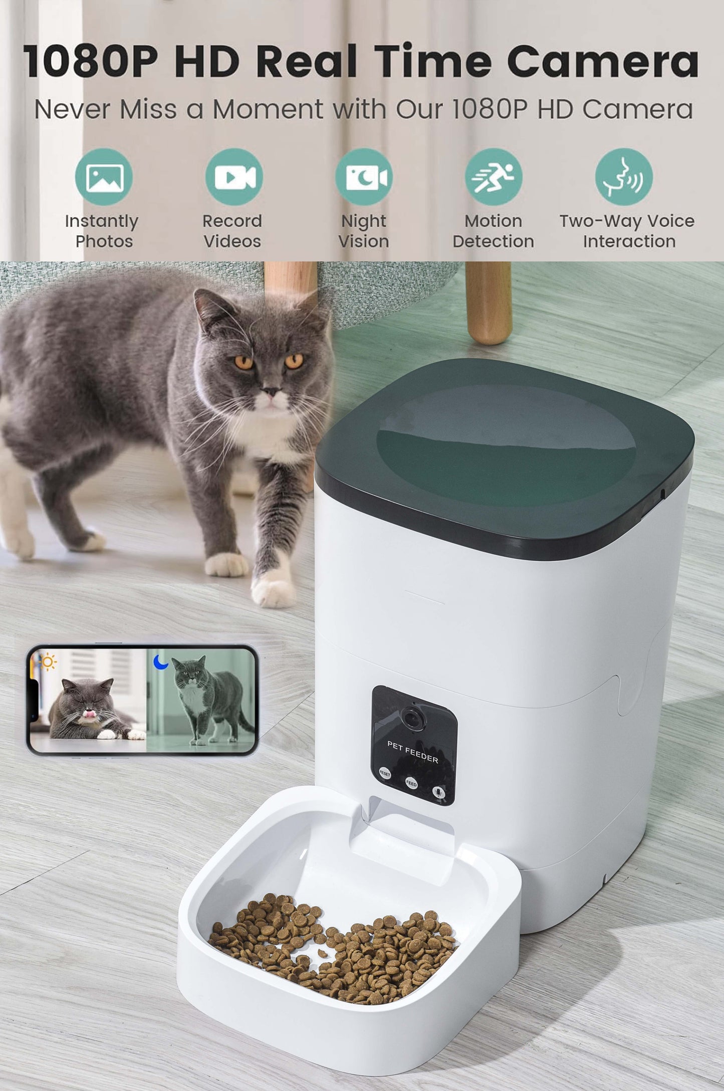 6L Automatic Pet Feeder for Cats and Dogs